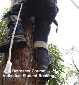 Use arborist climbing techniques