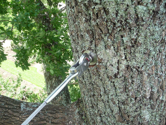 Hattersly Farm Tree Restraint
