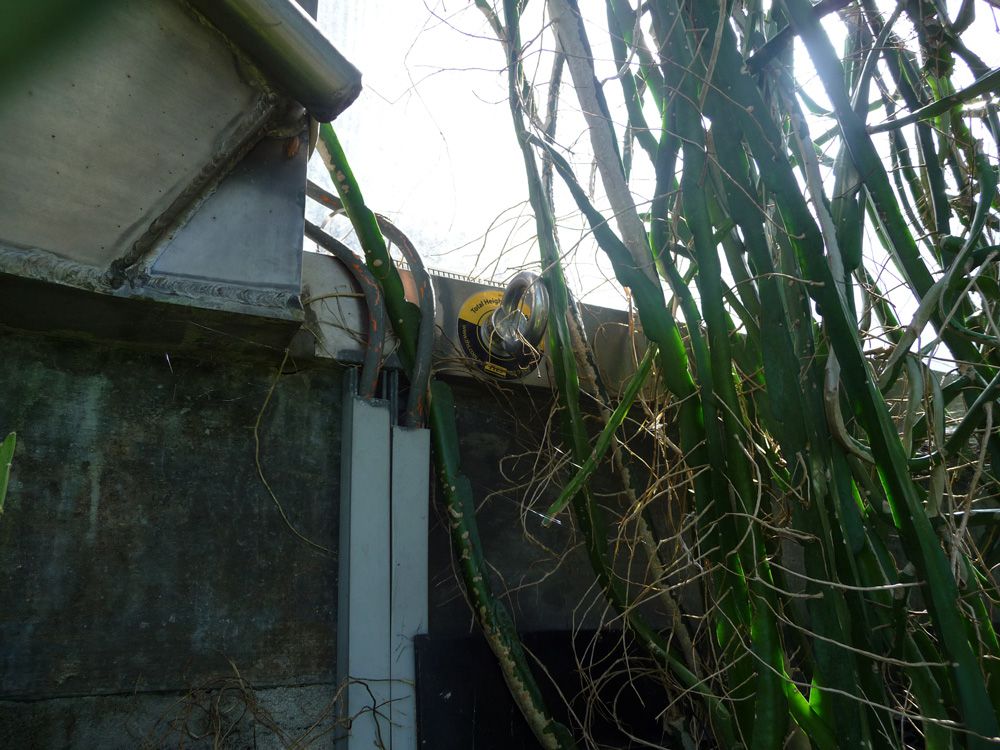 Fall Protection Anchors Royal Botanic Gardens