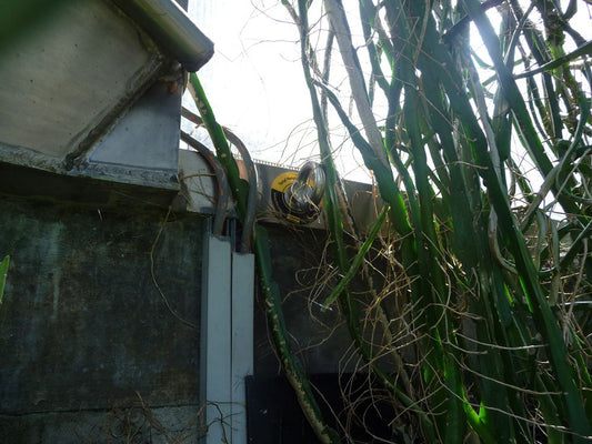 Fall Protection Anchors Royal Botanic Gardens