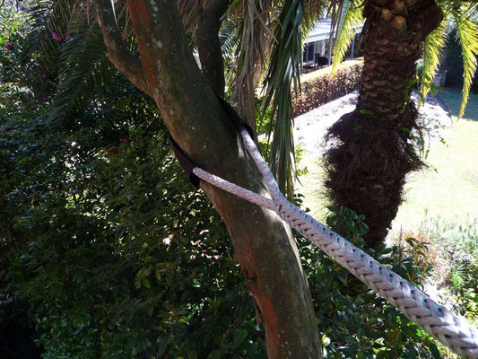 Tree Restraint Lindfield
