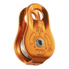 Pulley FIXE P05