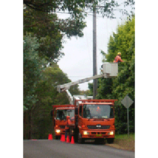 Risk Management For Tree Work Module 2