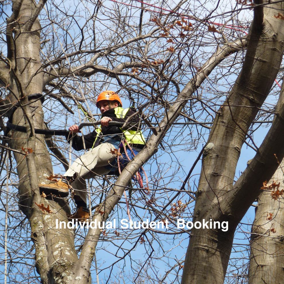 Access Trees For Inspection – Total Height Safety (A RISE® Company)