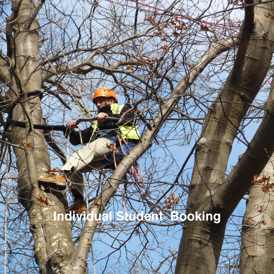 Access trees for Inspection