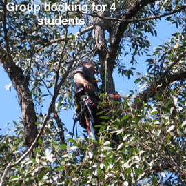 Access trees for Inspection