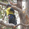 Access trees for Inspection