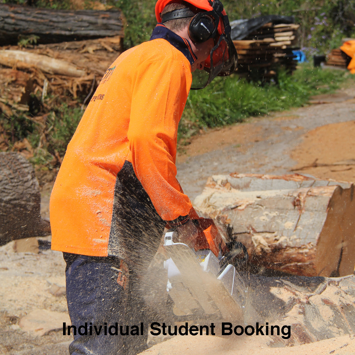 Operate & Maintain Chainsaws