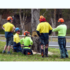 Tree Felling Contractor Course